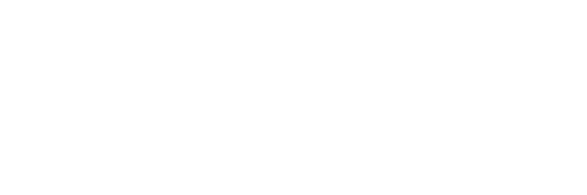 Niice Logo Light 1